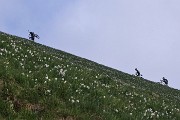 41 MTB in Linzone